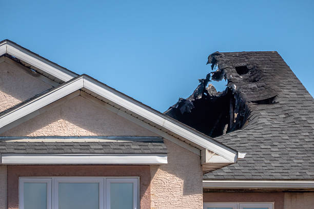 Top rated local Fire Damage Removal specialists in Frenchtown, NJ